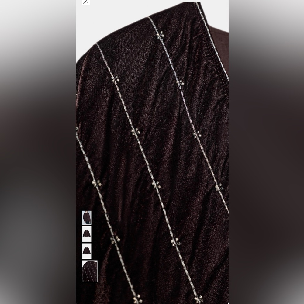 Zara Brown Jacket with Gold Accents - Picture 4 of 5